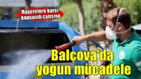 Balçova'da haşerelere karşı yoğun mücadele!