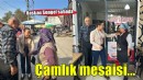 Başkan Sengel'den Çamlık mesaisi