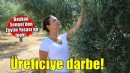 Başkan Sengel'den Zeytin Yasası'na tepki...