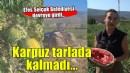 Başkan Sengel devreye girdi, karpuz tarlada kalmadı!