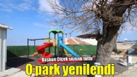 Başkan Söz Verdi, Park Yenilendi
