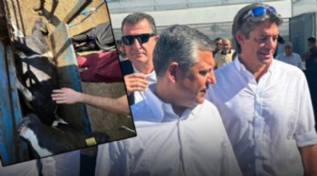 Baskında ineği ölmüştü! CHP'nin gölge bakanının çiftliğinin sertifikası iptal edildi