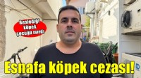 Beslediği köpek çocuğu ısırınca para cezası yedi!