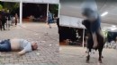 Boğaya para atmak istedi, boynuz darbesiyle havaya uçtu!