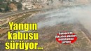 Bornova'da ormanlık alanda yangın!