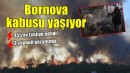 Bornova'da yangın kabusu... 455 ev tahliye edildi!