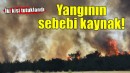 Bornova yangınının sebebi belli oldu