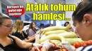 Bornova’da atalık tohum geleceğe taşınıyor