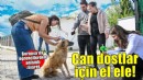 Bornova’da can dostlar için el ele