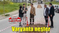 Bornova’da varyanta neşter