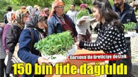 Bornova’dan üreticiye can suyu: 150 bin yazlık sebze fidesi dağıtıldı