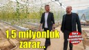 Buca Belediyesi’nin serasına hain saldırı