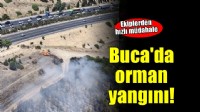 Buca'da orman yangını!
