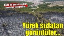 Buca'da yanan ormanlık alan havadan görüntülendi
