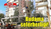 Buca’da budama seferberliği