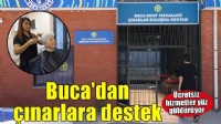 Buca’nın çınarlarının yüzü gülüyor