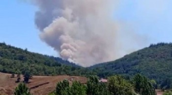 Bursa'da orman yangını: Müdahale ediliyor