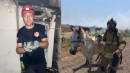 Büyükşehir yangın bölgelerindeki tüm canlıların yardımına koştu