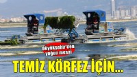 Büyükşehir’den Körfez’de temizlik mesaisi