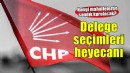 CHP İzmir'de delege seçimleri sürüyor