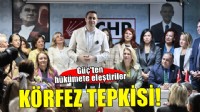CHP'li Güç'ten hükümete İzmir Körfezi tepkisi!