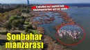 Çakalburnu Lagünü’nde sonbahar manzarası