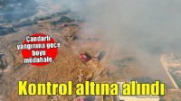 Çandarlı yangını kontrol altına alındı