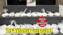Çantasında 29 kilo metamfetamin ele geçirilen şüpheli tutuklandı
