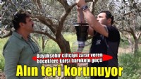 Çiftçinin alın teri erken mücadeleyle korunuyor