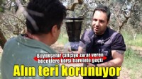 Çiftçinin alın teri erken mücadeleyle korunuyor