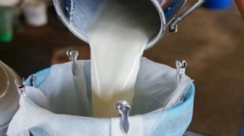 Çiğ süt fiyatı 22,22 lira olarak açıklandı