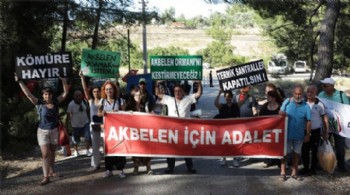 Danıştay'dan Akbelen için yürütmeyi durdurma kararı