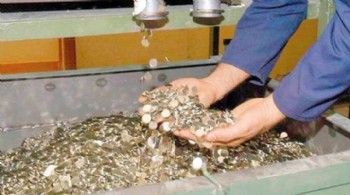 Darphane iki madeni paranın daha üretimini durdurdu