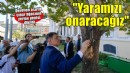 Devrilen çınar ağacı yerine yenisi dikildi