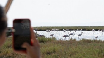 Doğa ve lezzet tutkunları bu turları çok sevecek
