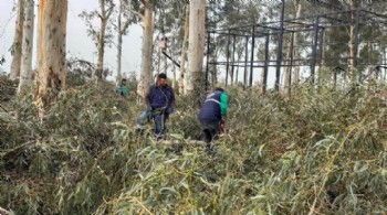 Efeler'de güvenli yeşil alan seferberliği:tepecik mesire alanı yenileniyor