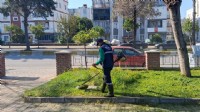 Efeler'in yeşil alanlarında bakım çalışmaları devam ediyor