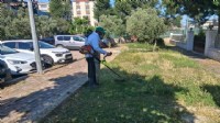 Efeler'in yeşil alanlarında yaz temizliği