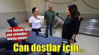 Efes Selçuk'ta atık yemekler can dostlara mama oluyor
