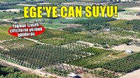 Ekim yağmuru Egeli çiftçilere nefes oldu