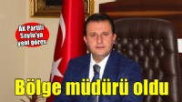 Eski başkan Soylu bölge müdürü oldu!