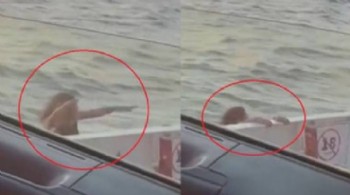 Feribot seferi kabusa döndü! İntihara kalkıştı