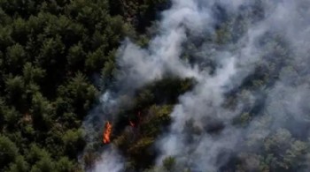 Fethiye'de orman yangını: Ekiplerin müdahalesi sürüyor