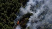 Fethiye'de orman yangını: Ekiplerin müdahalesi sürüyor