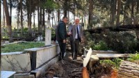Fırtınadan etkilenen mezarlıklara hızlı müdahale