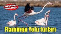 Flamingo Yolu turları bayramda da devam ediyor