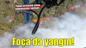 Foça'da orman yangını! Müdahale sürüyor...