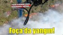Foça'da orman yangını! Müdahale sürüyor...