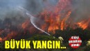 Foça'da yangın evlere sıçradı... 4 kişiye gözaltı!