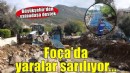 Foça’da yaralar sarılıyor